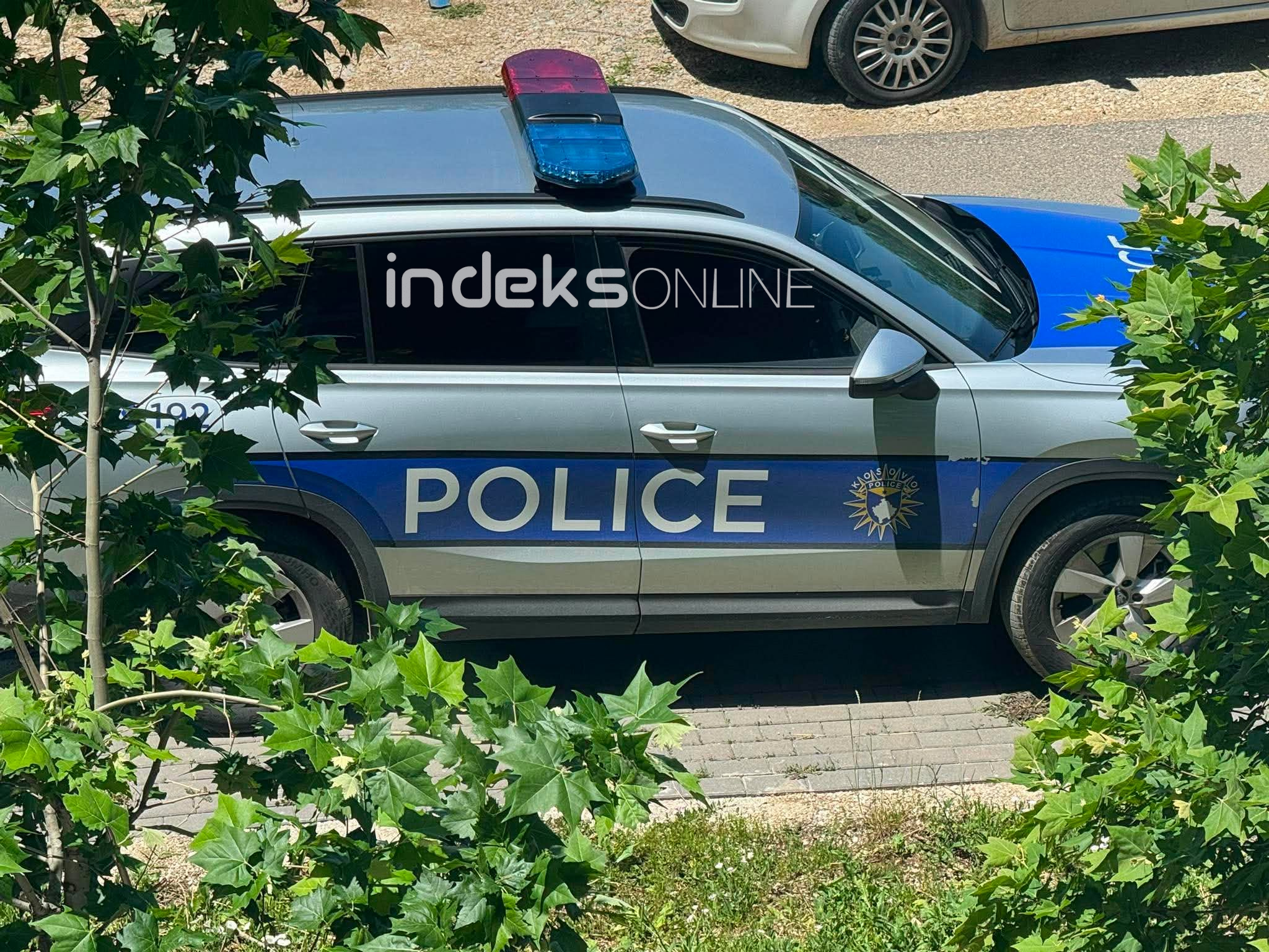 Policia ndalon një të dyshuar që kërkohej për raste vjedhjeje